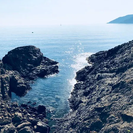 Arrels De Mar