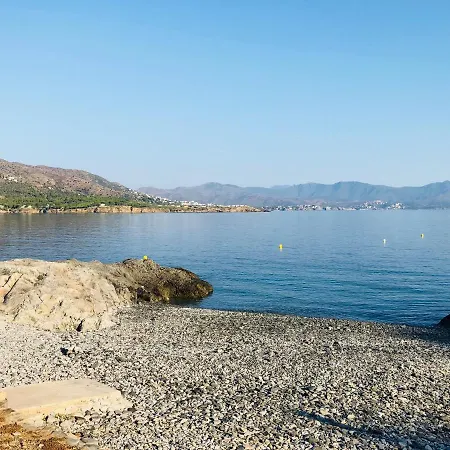 Arrels De Mar *